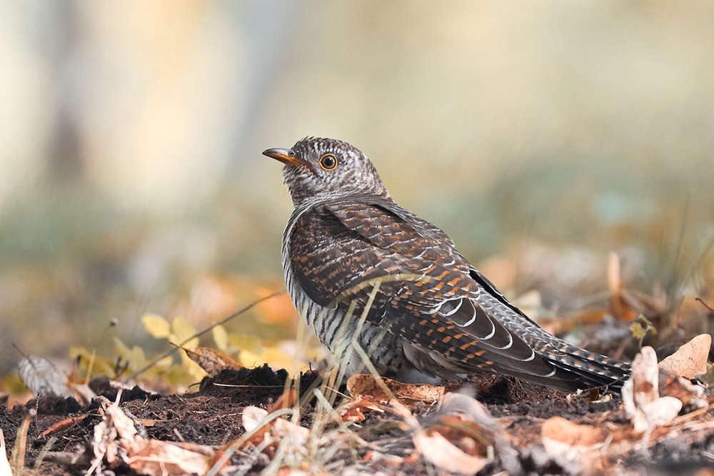 Photograph by Йомка