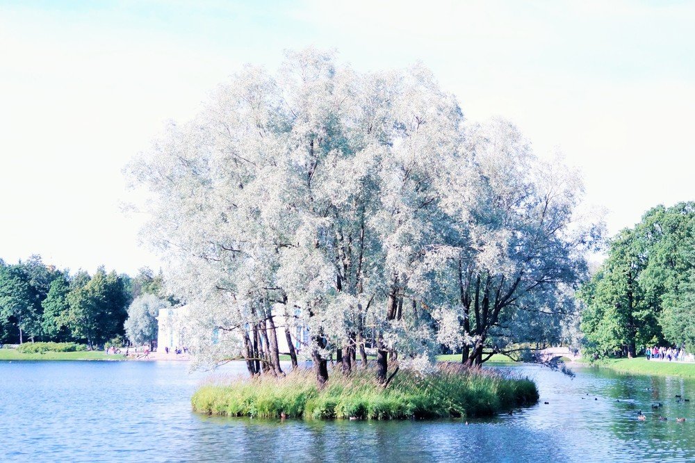 Photograph by Дарья Мещерякова