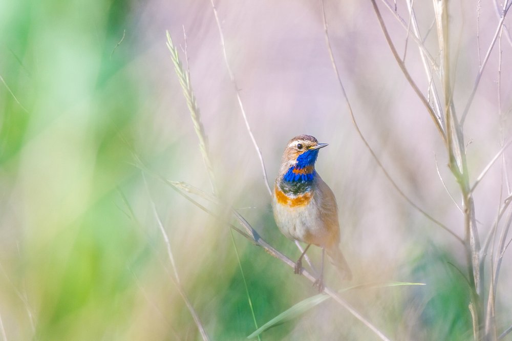 Photograph by Йомка