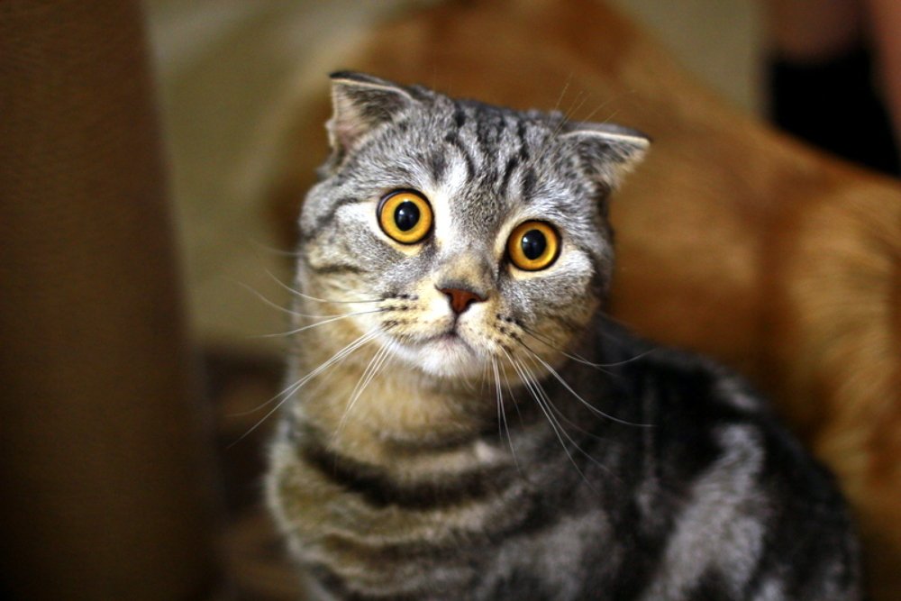 Photograph by Наталья Кирина