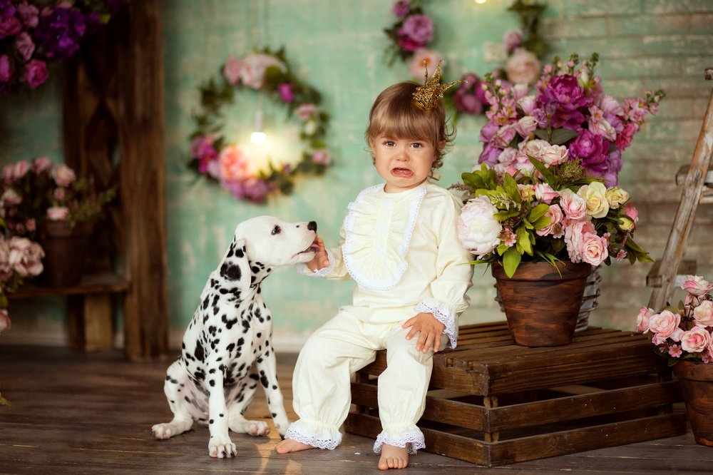 Я тебя в обиду не дам