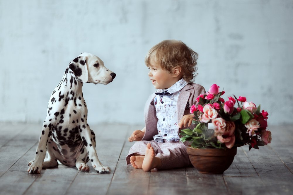 Привет, дружок