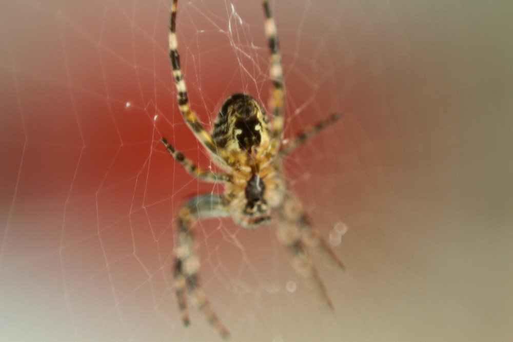 Photograph by Александр Терехов