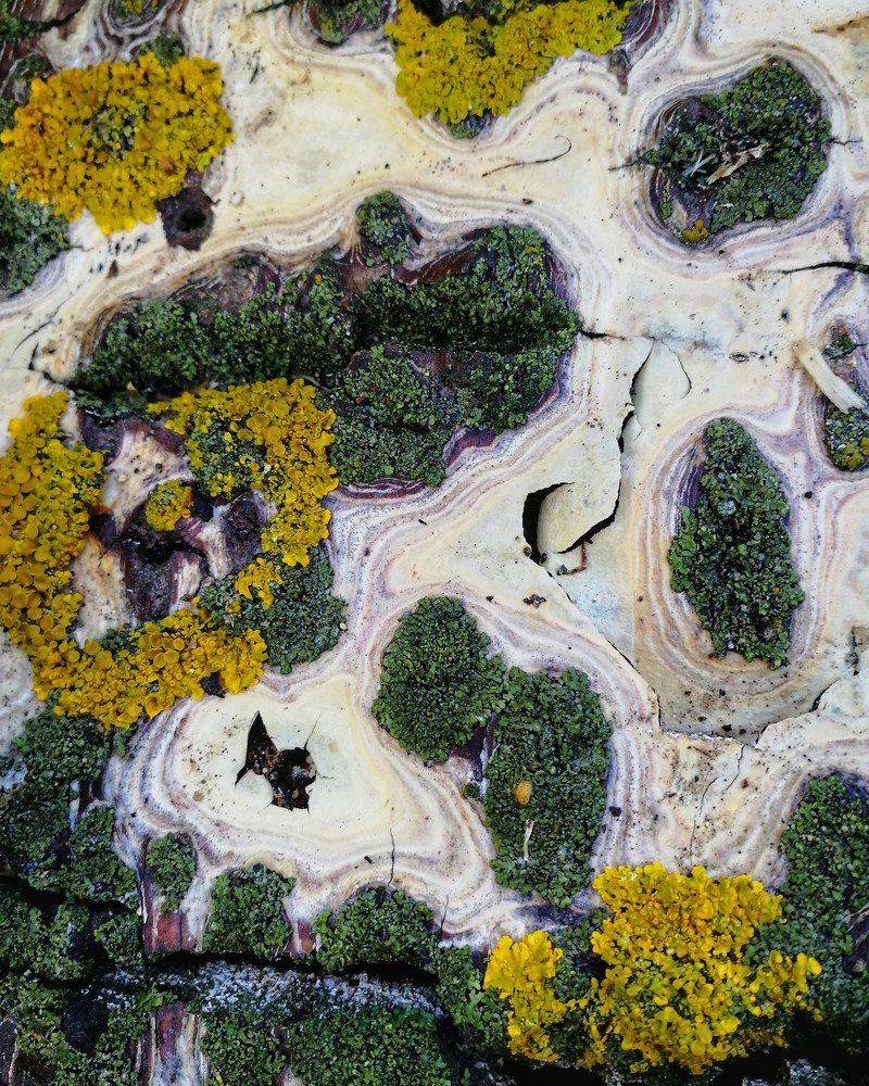 Photograph by Ирина