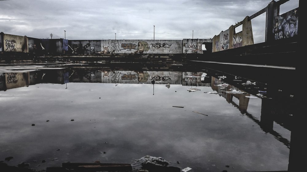 Photograph by ivaldo cavalcante cavalcante