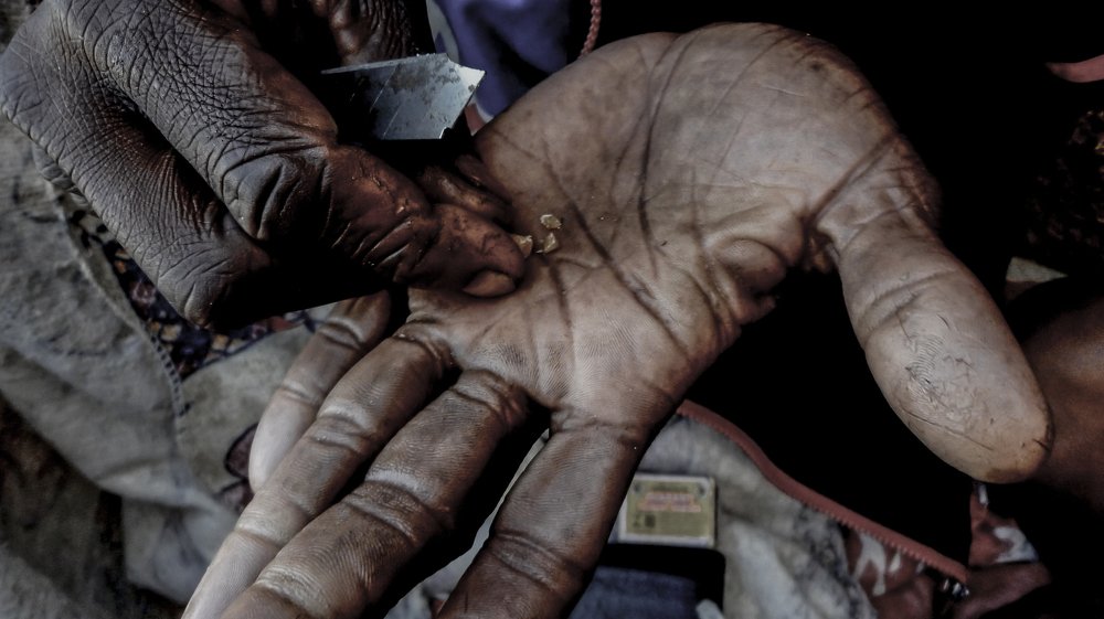 Photograph by ivaldo cavalcante cavalcante