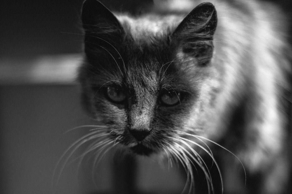 Photograph by Александр Терехов