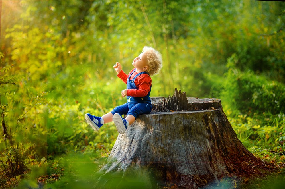 Photograph by Александра Панфилова