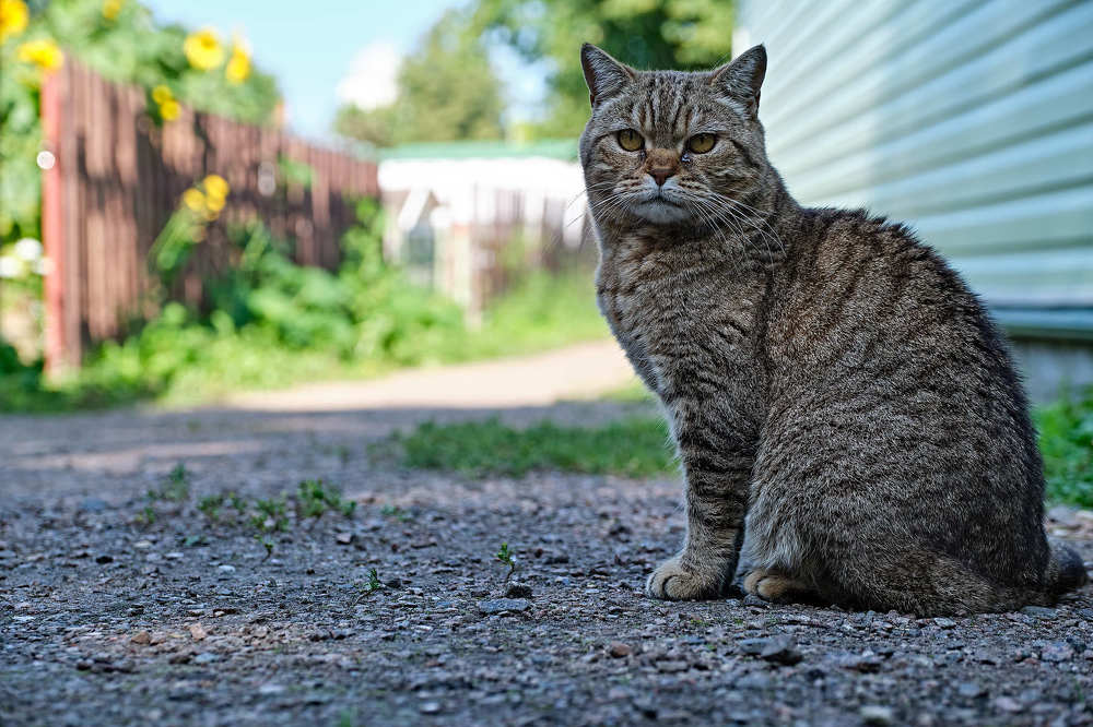 Photograph by Алексей Бойков