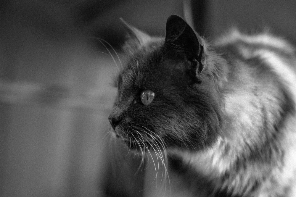 Photograph by Александр Терехов