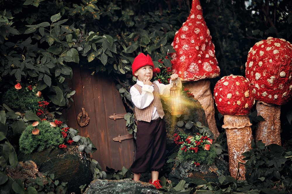 Жил-был гном