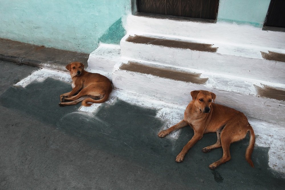 Photograph by Станислав Ситников