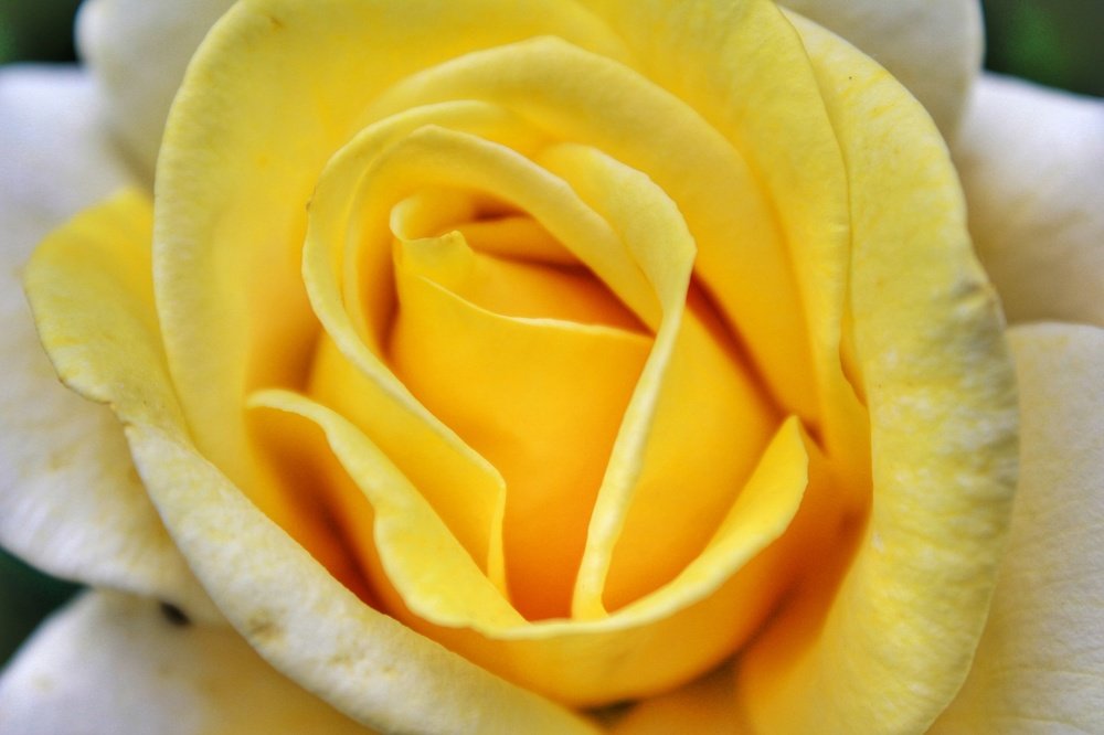 Фотография автора Найденова Алина