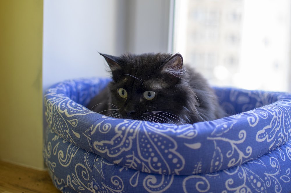 Photograph by Tatiana Zuikova