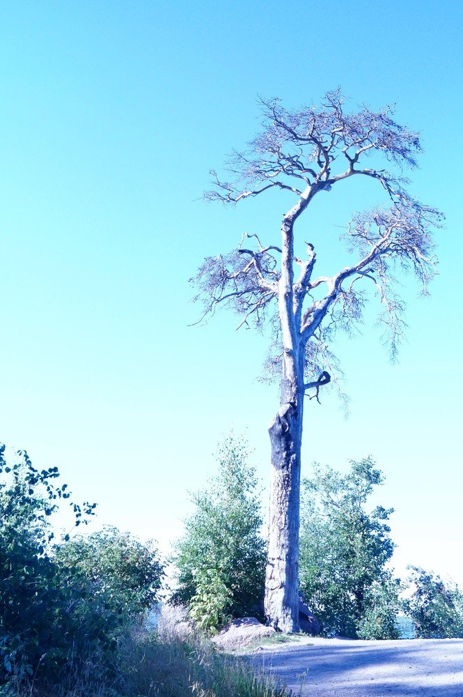 Photograph by Дарья Мещерякова