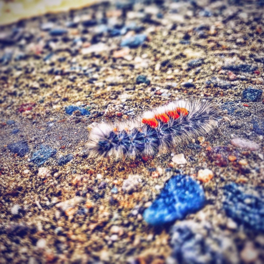 Photograph by Iulian Moldovan