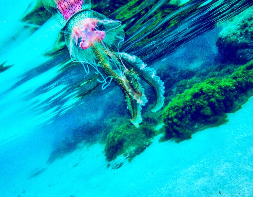 Photograph by Iulian Moldovan