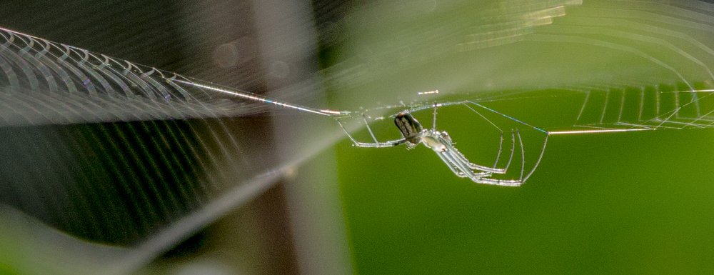 Photograph by Dario Alzate Ramirez