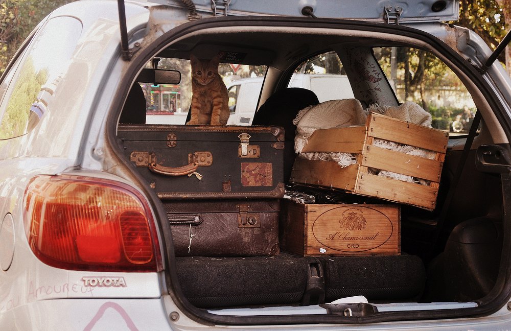 К путешествию готов!