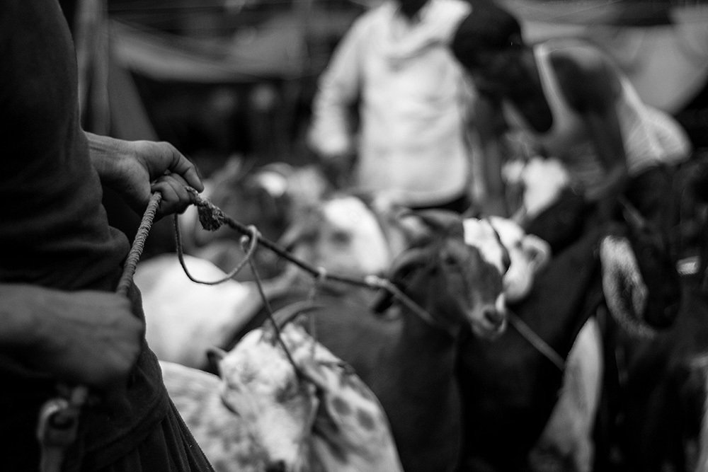 Фотография автора Subhranil Rudra