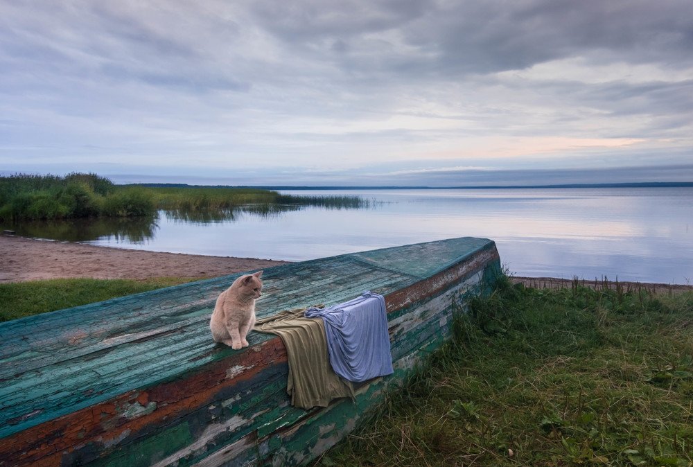 На хозяйстве