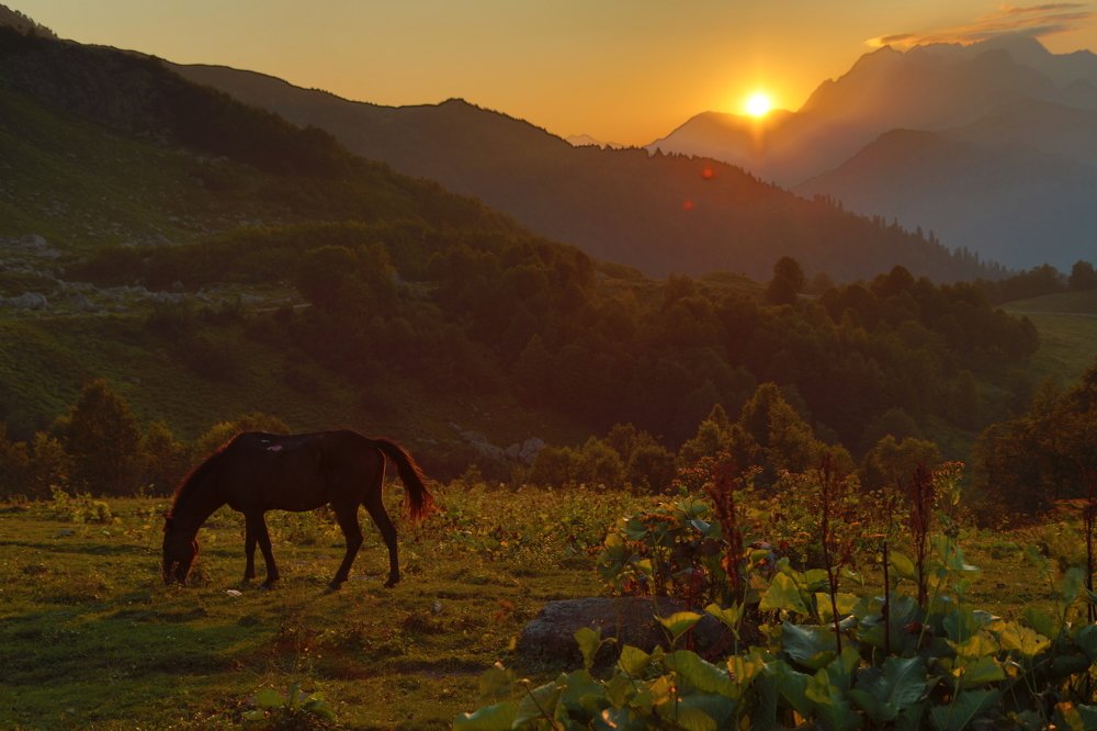 Фотография автора Дарья Юсарева