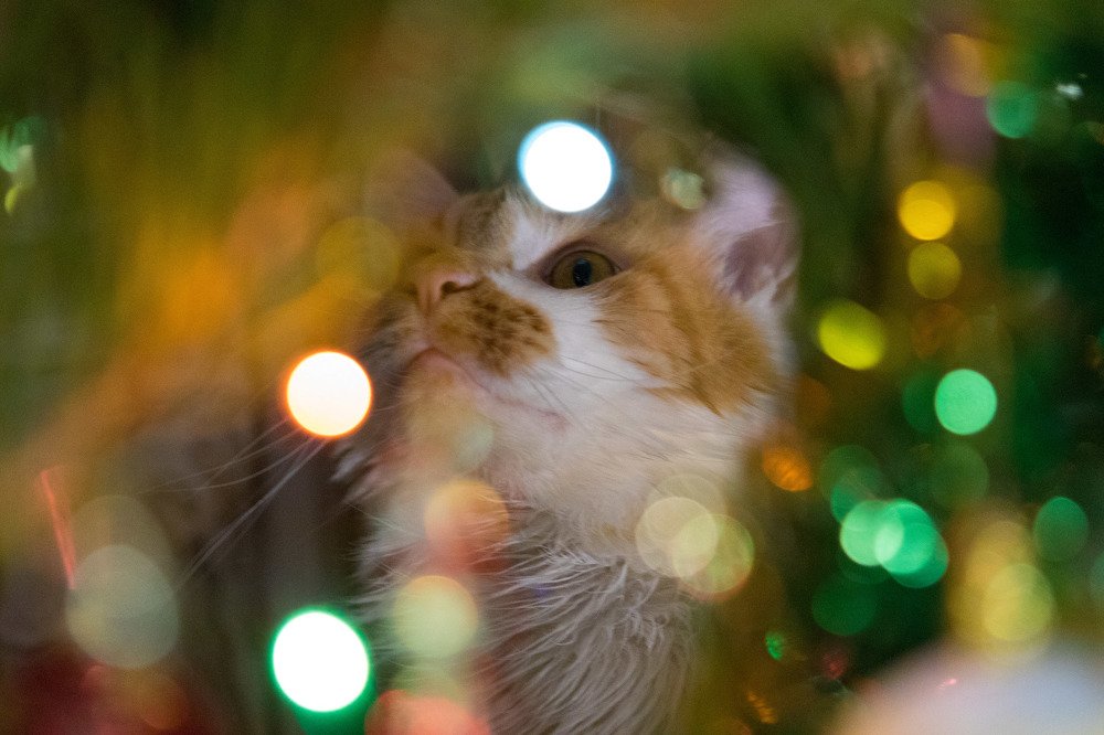 Photograph by Владимир Журавлев