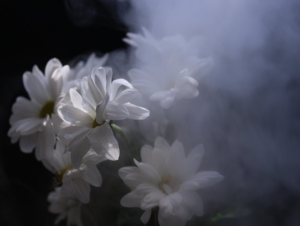 Photograph by Татьяна