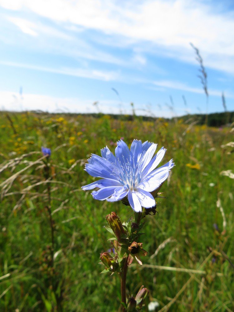 Photograph by Марина Осипова