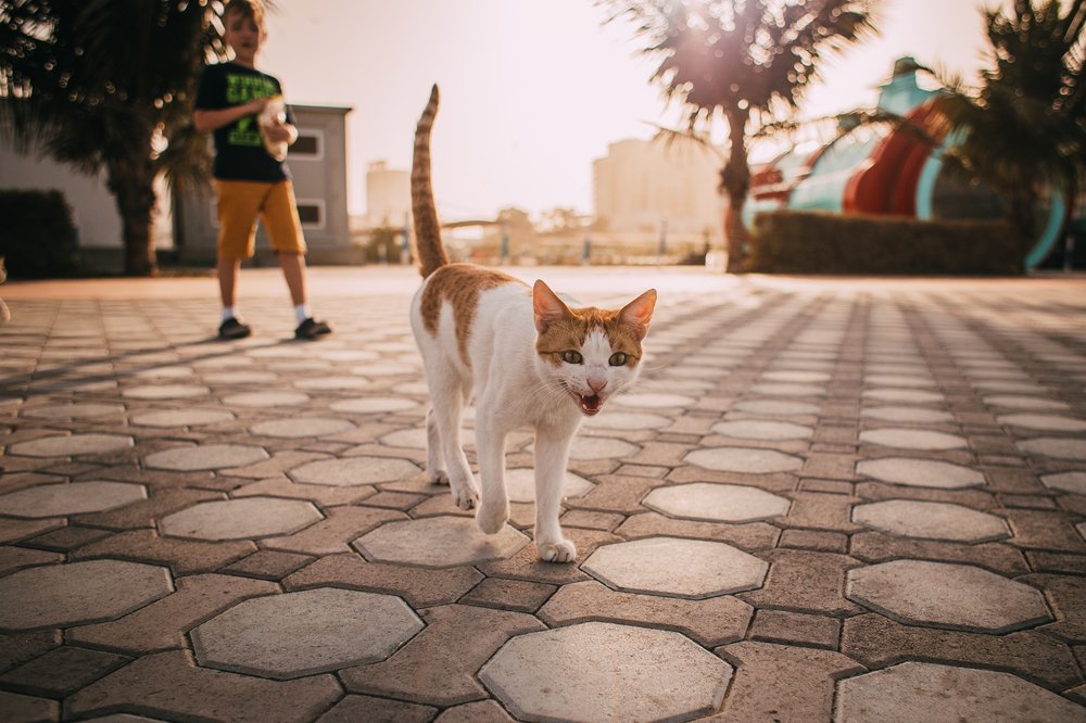 Photograph by Екатерина Сейба
