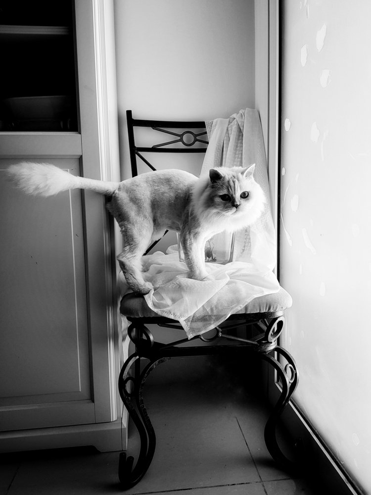 Photograph by Екатерина Сейба