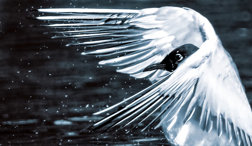 Photograph by Наталья Копылова