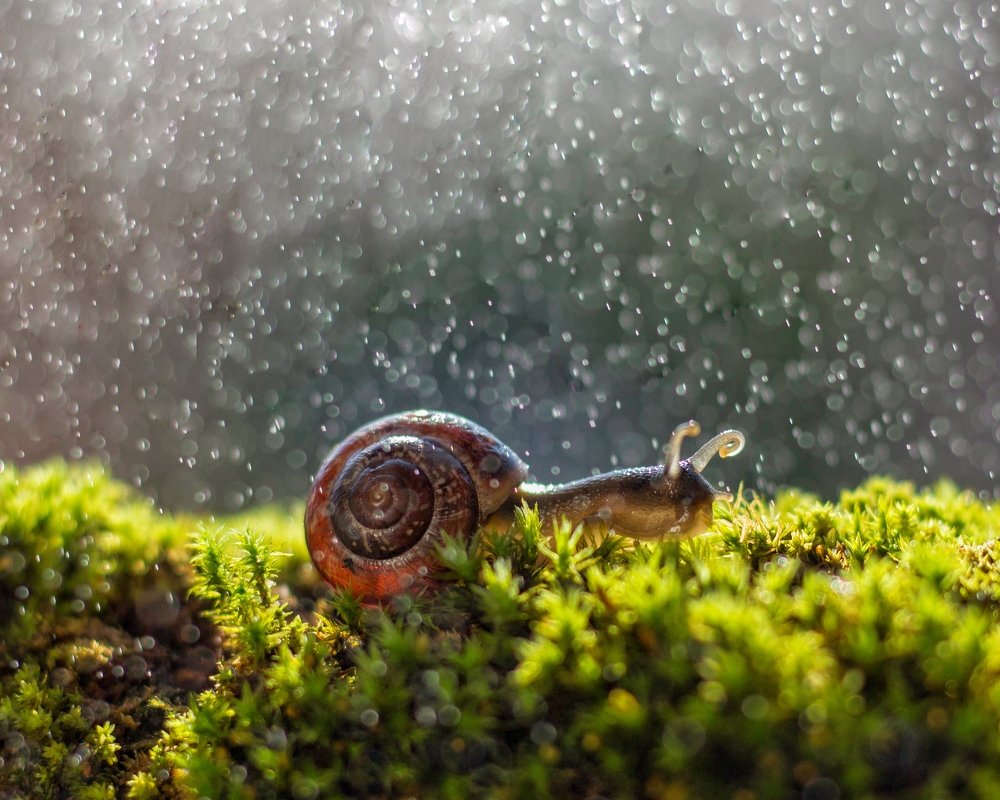 Photograph by Anna Frizen