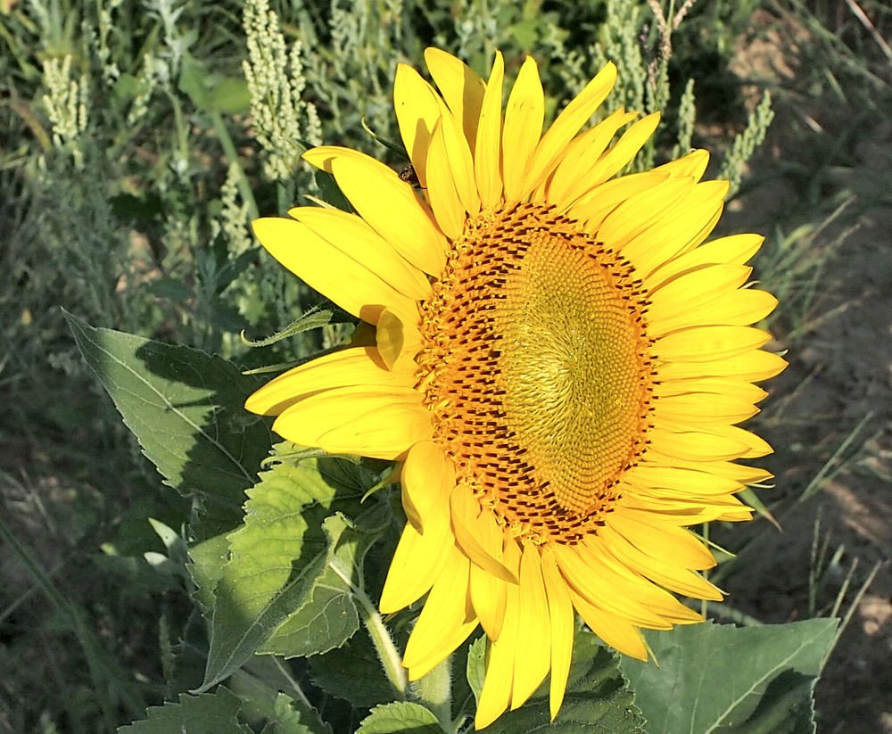 Photograph by sergio maritan