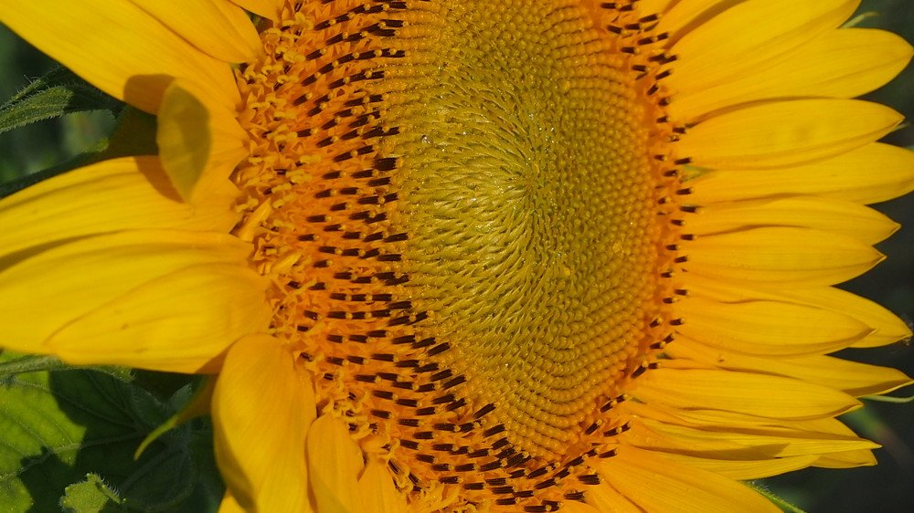 Photograph by sergio maritan