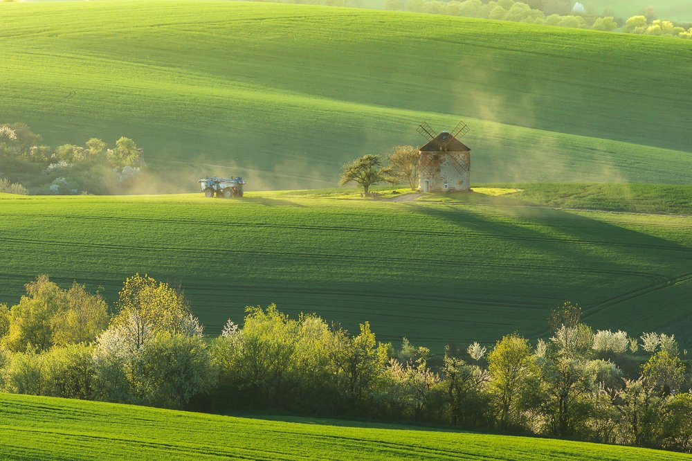 Фотография автора Татьяна Бурлакина