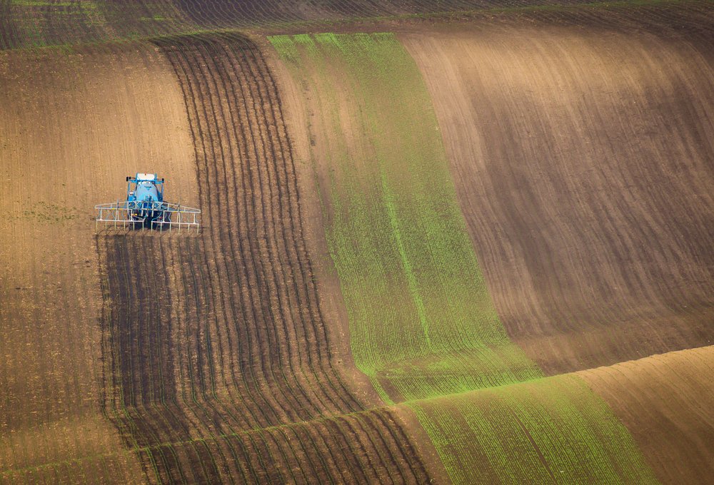 Фотография автора Татьяна Бурлакина