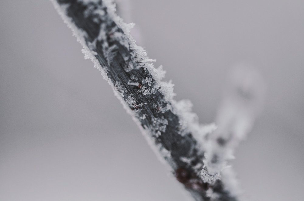 Photograph by Дмитрий Беликов