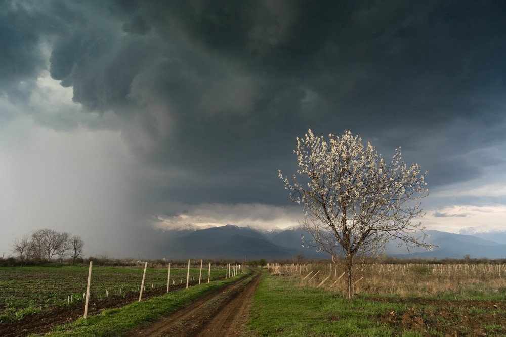 Фотография автора Татьяна Бурлакина