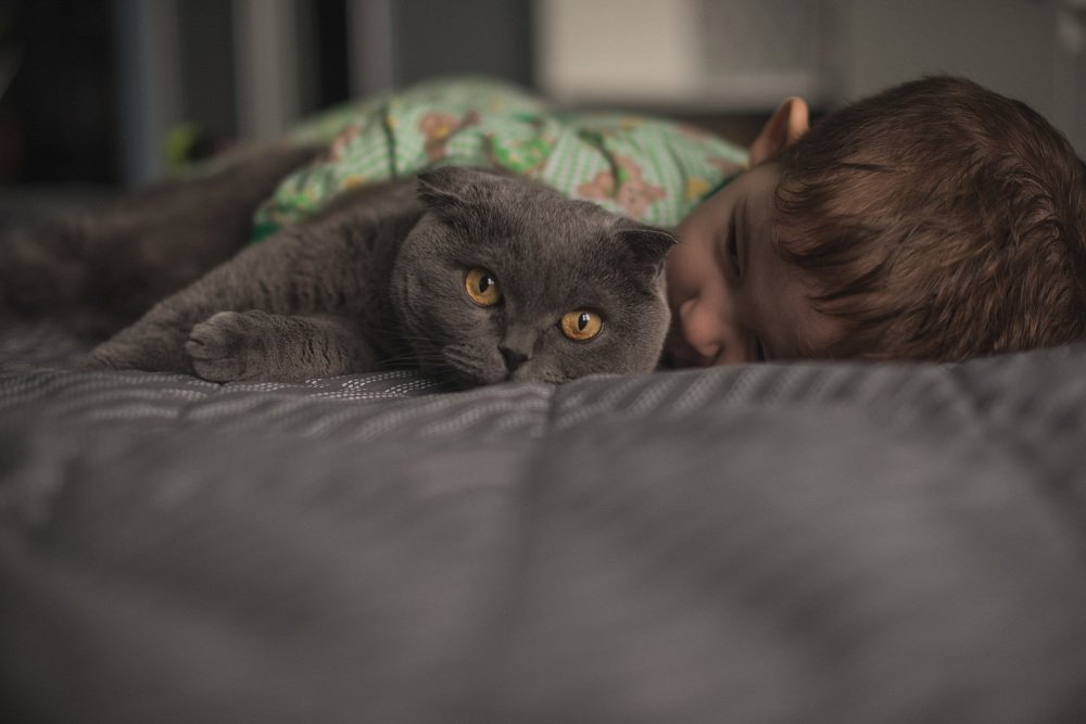 Photograph by Зухра Галиуллина