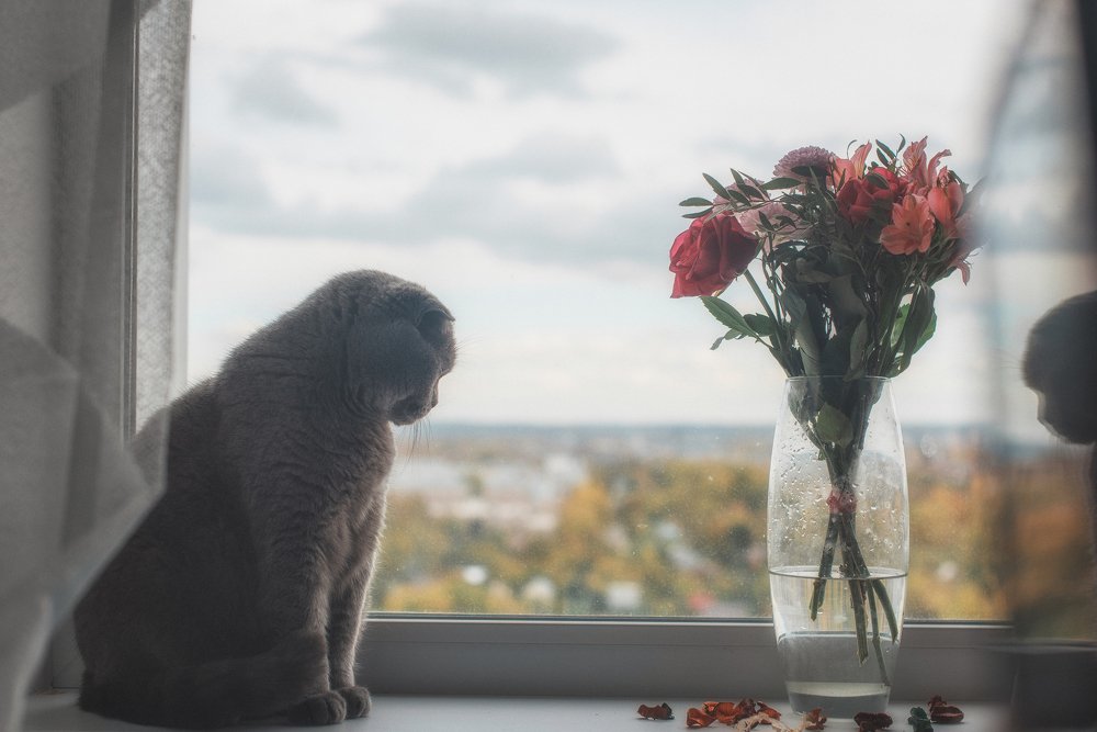 Photograph by Зухра Галиуллина