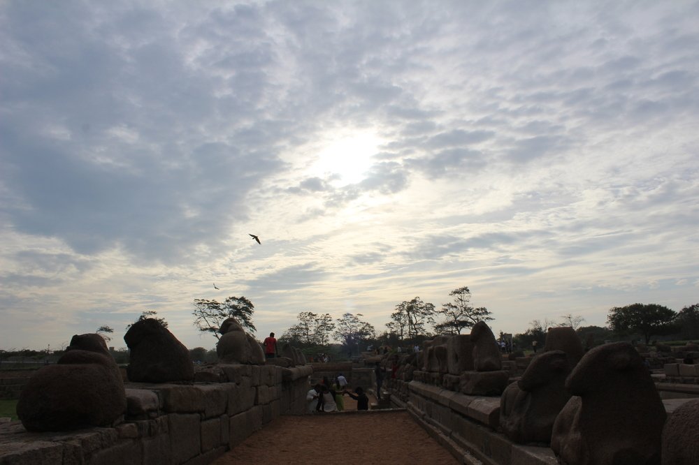 Photograph by Veni