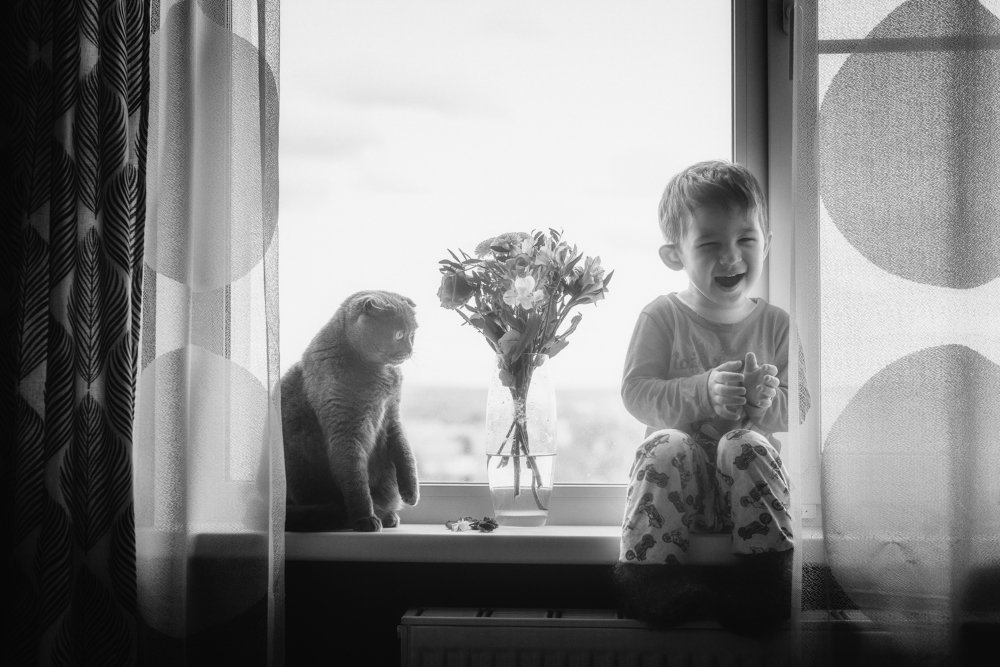 Беседы с котом