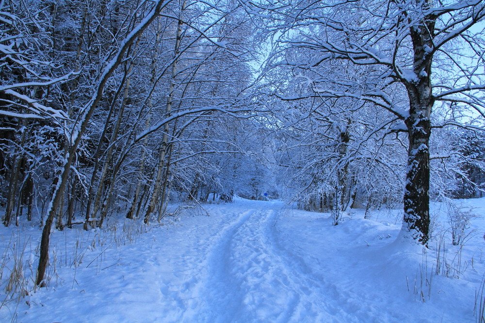 Photograph by sergio maritan