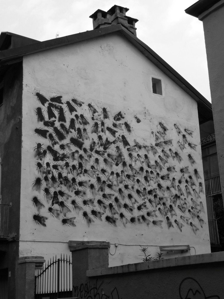 Photograph by sergio maritan