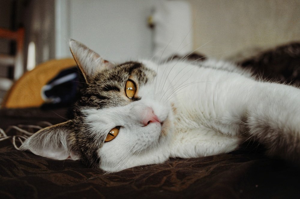 Photograph by Дарья Безрукова