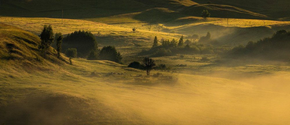 Фотография автора Татьяна Бурлакина