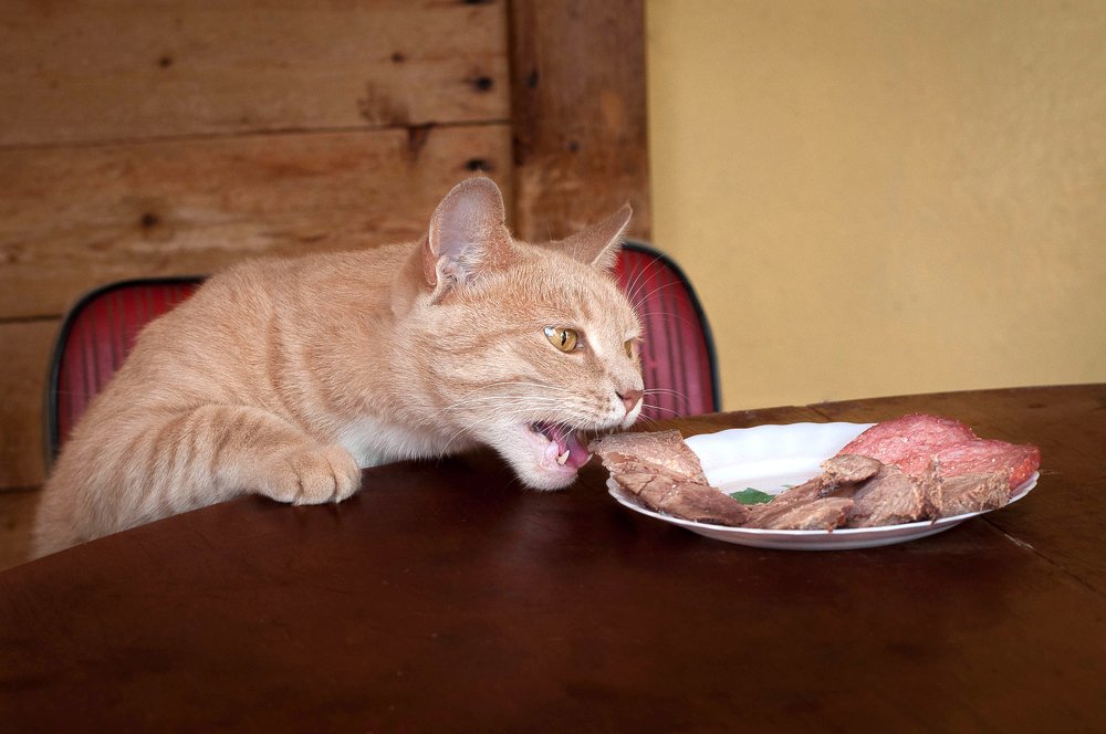 Photograph by Мария Дронова