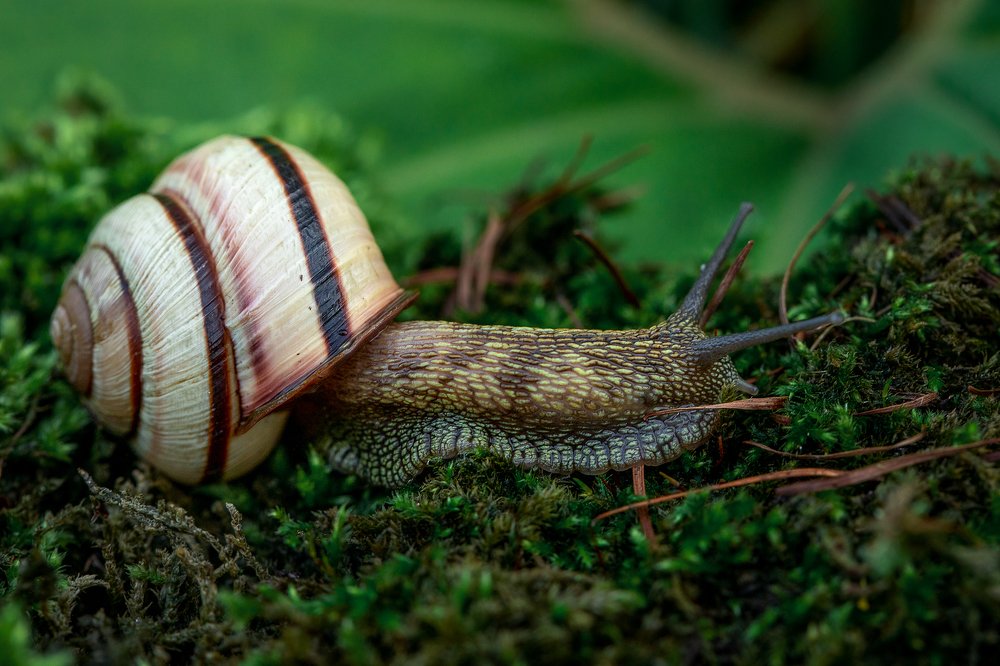 Фотография автора Зоя Галимова