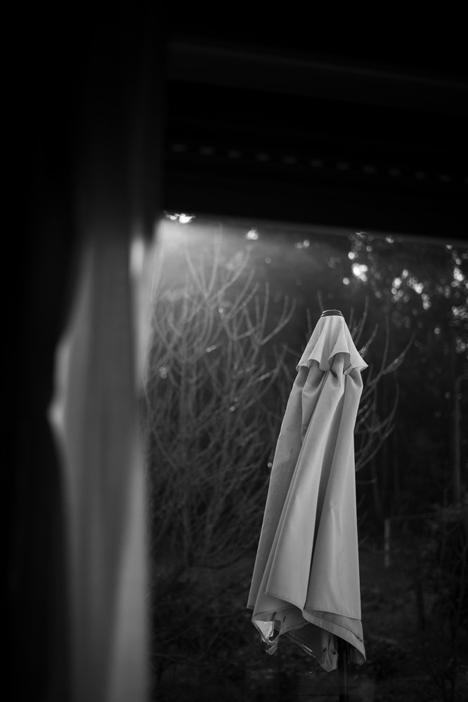 Photograph by Rui Ferreira